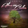 Sincodigo & Worship Revolution Sessions - Abre Los Cielos (Live) - Single